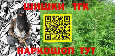 мдпв Славгород