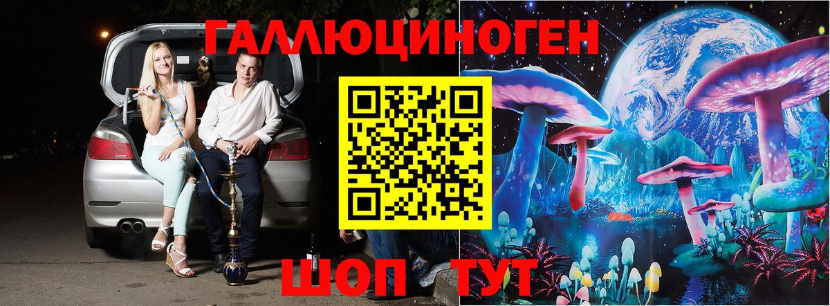 Псилоцибиновые грибы ЛСД  Псилоцибиновые грибы ЛСД  Приморско-Ахтарск  Вход с VPN 