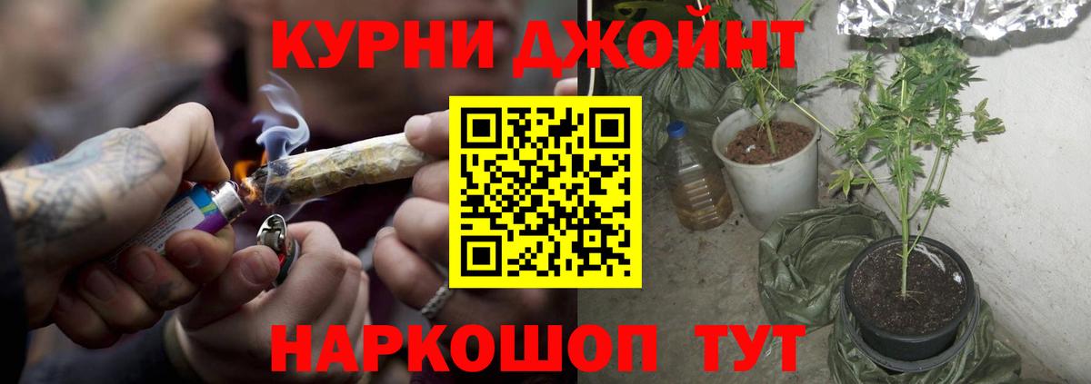 Бошки марихуана AK-47  МАРИХУАНА White Widow  Вход с VPN  Приморско-Ахтарск  Бошки Шишки SATIVA & INDICA 
